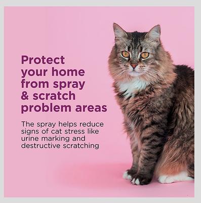 Show full view: Comfort Zone Calming Pheromone Spray for Cats, 2-fl oz bottle slide 3 of 11