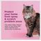 Show in main carousel: Comfort Zone Calming Pheromone Spray for Cats, 4-fl oz bottle slide 3 of 10