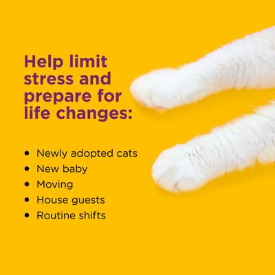 Show full view: Comfort Zone 60 Day Starter Kit Calming Pheromone Diffuser for Cats, 60-day, 1 Diffuser, 2 Refills slide 4 of 12