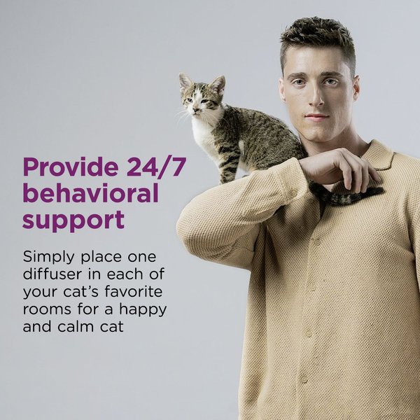Comfort Zone 60 Day Starter Kit Calming Pheromone Diffuser for Cats, 60-day, 1 Diffuser, 2 Refills