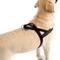 Show in main carousel: ComfortFlex Fully Padded Non-Chafing Reflective Sport Dog Harness, Mariner, Large slide 5 of 6