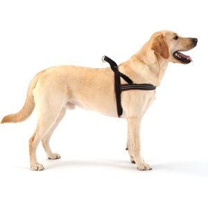 ComfortFlex Fully Padded Non-Chafing Reflective Sport Dog Harness, Neon Pink, Medium/Large