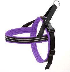 ComfortFlex Fully Padded Non-Chafing Reflective Sport Dog Harness, Purple, Medium