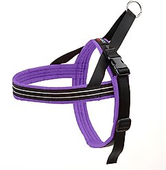 ComfortFlex Fully Padded Non-Chafing Reflective Sport Dog Harness, Purple, Medium/Large
