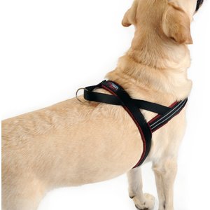ComfortFlex Fully Padded Non-Chafing Reflective Sport Dog Harness, Purple, Medium/Large
