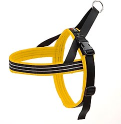 ComfortFlex Fully Padded Non-Chafing Reflective Sport Dog Harness, Saffron, Large