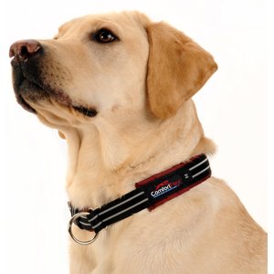 ComfortFlex Fully Padded Reflective Martingale Dog Collar, Neon Pink, Medium