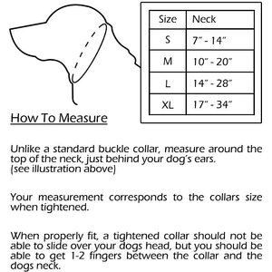 ComfortFlex Fully Padded Reflective Martingale Dog Collar, Purple, Large