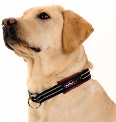 Show full view: ComfortFlex Fully Padded Reflective Martingale Dog Collar, Raven, X-Large slide 3 of 5