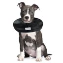 COMFURT COLLAR Stuffed Not Inflatable Dog & Cat Recovery Collar, Black, Large