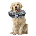COMFURT COLLAR Stuffed Not Inflatable Dog & Cat Recovery Collar, Black, X-Large