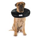 COMFURT COLLAR Stuffed Not Inflatable Dog & Cat Recovery Collar, Black, XX-Large