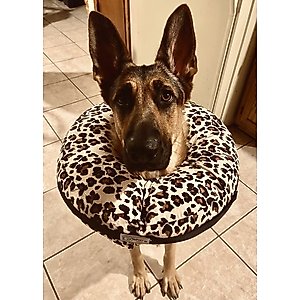COMFURT COLLAR Stuffed Not Inflatable Dog & Cat Recovery Collar, Cheetah, Large