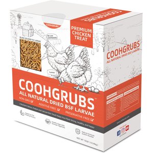 COOHGRUBS Dried Black Soldier Fly Larvae Chicken Treat, 10-lb box
