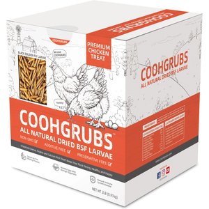 COOHGRUBS Dried Black Soldier Fly Larvae Chicken Treat, 2-lb box