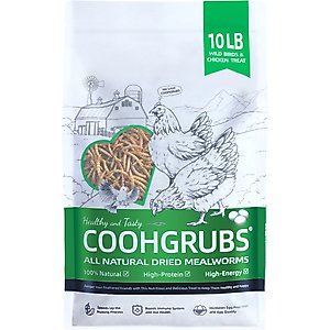 COOHGRUBS Dried Mealworms Poultry & Bird Treats, 10-lb bag