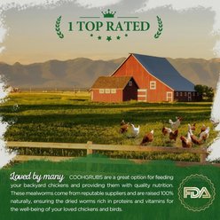 COOHGRUBS Dried Mealworms Poultry & Bird Treats, 10-lb bag slide 2 of 7