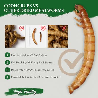 Show full view: COOHGRUBS Dried Mealworms Poultry & Bird Treats, 10-lb bag slide 5 of 10