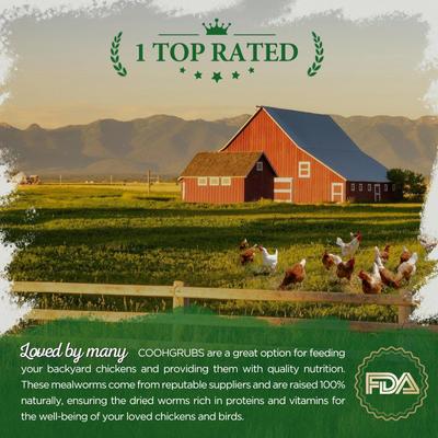 Show full view: COOHGRUBS Dried Mealworms Poultry & Bird Treats, 2-lb bag slide 7 of 10