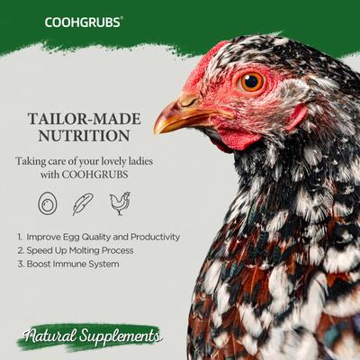 Show full view: COOHGRUBS Dried Mealworms Poultry & Bird Treats, 2-lb bag slide 6 of 10