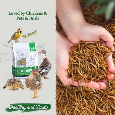 Show full view: COOHGRUBS Dried Mealworms Poultry & Bird Treats, 5-lb bag slide 2 of 10