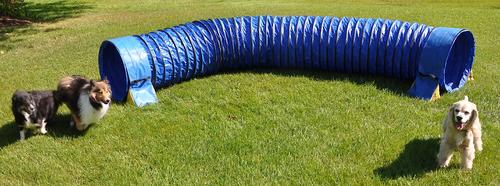 Show full view: Cool Runners Agility Lightweight PVC Dog Training Tunnel with Tunnel Bags, 15-ft slide 4 of 5