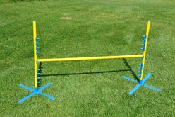 Cool Runners Agility PVA Dog Training Pedestal Jump