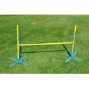 Cool Runners Agility PVA Dog Training Pedestal Jump