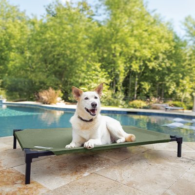 Coolaroo Coolaroo HeatShield Cooling Fabric Elevated Dog Bed, Everglade Green, Large