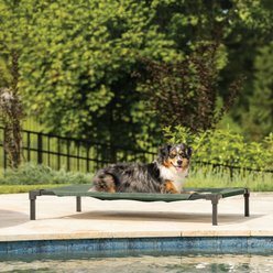 Coolaroo HeatShield Cooling Fabric Elevated Dog Bed, Everglade Green, Medium