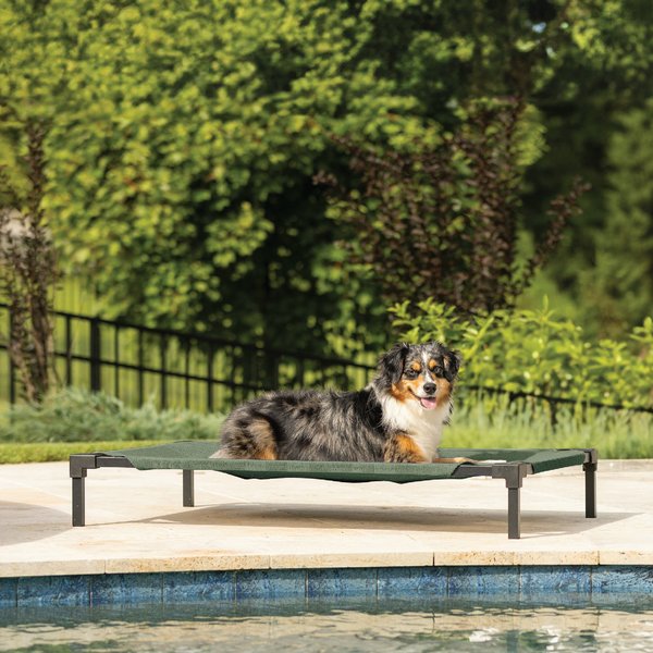 Coolaroo HeatShield Cooling Fabric Elevated Dog Bed