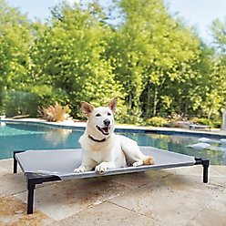 Coolaroo HeatShield Cooling Fabric Elevated Dog Bed, Glacier Grey, Large