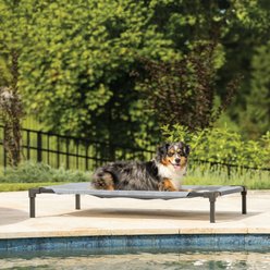 Coolaroo HeatShield Cooling Fabric Elevated Dog Bed, Glacier Grey, Medium
