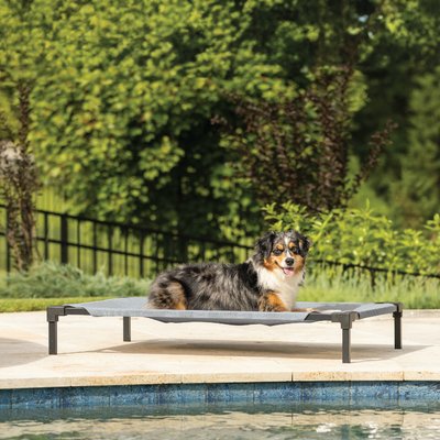 Coolaroo Coolaroo HeatShield Cooling Fabric Elevated Dog Bed, Glacier Grey, Medium