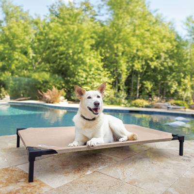 Coolaroo HeatShield Cooling Fabric Elevated Dog Bed, Everglade Green, Large