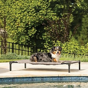 Coolaroo HeatShield Cooling Fabric Elevated Dog Bed, Great Sandy Beige, Medium