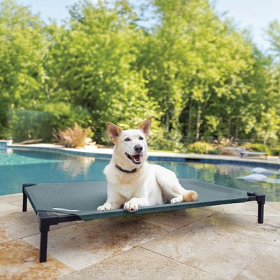 Coolaroo Coolaroo HeatShield Cooling Fabric Elevated Dog Bed, Pacific Crest Blue, Large
