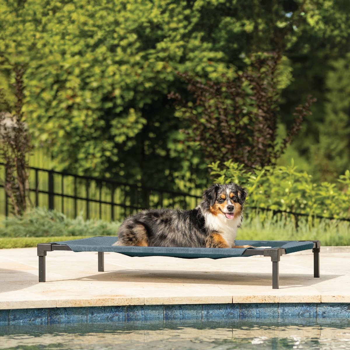 Coolaroo HeatShield Cooling Fabric Elevated Dog Bed, Pacific Crest Blue, Medium
