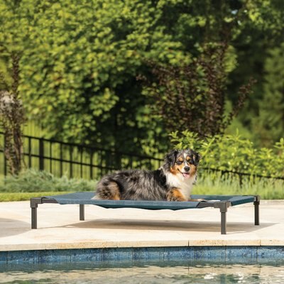 Coolaroo Coolaroo HeatShield Cooling Fabric Elevated Dog Bed, Pacific Crest Blue, Medium