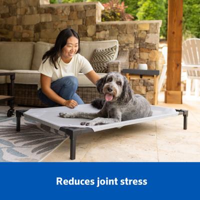 Show full view: Coolaroo HeatShield Cooling Fabric Elevated Dog Bed, Pacific Crest Blue, Medium slide 4 of 8