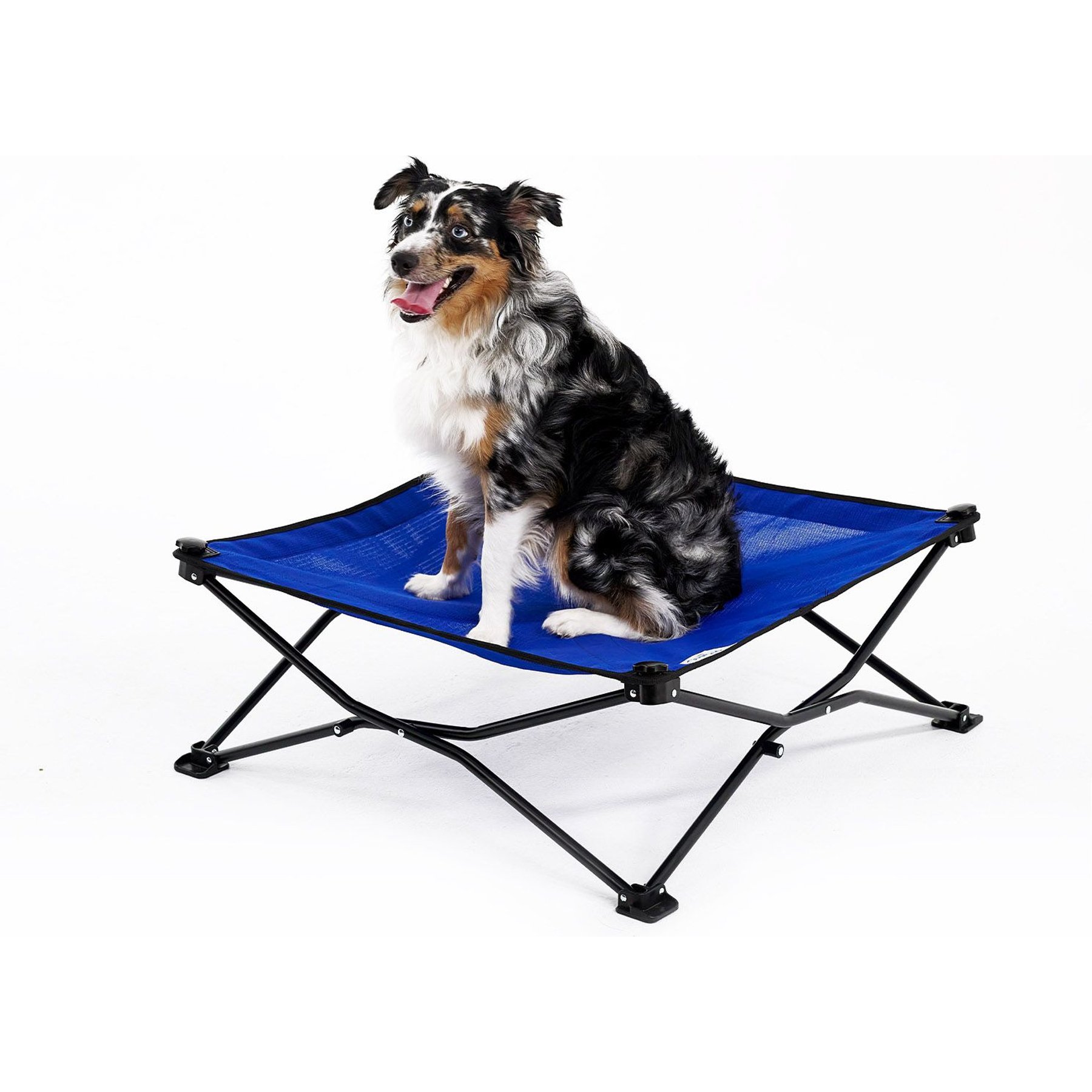 Coolaroo On The Go Elevated Cat & Dog Bed with Removable Cover, Aquatic Blue, Medium