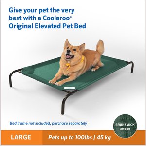 Coolaroo Replacement Cover for Steel-Framed Elevated Dog Bed, Brunswick Green, Large