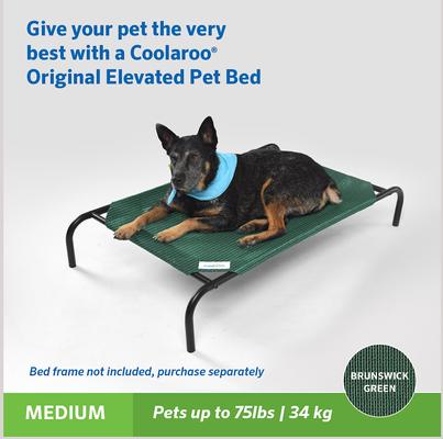 Show full view: Coolaroo Replacement Cover for Steel-Framed Elevated Dog Bed, Brunswick Green, Medium slide 4 of 7