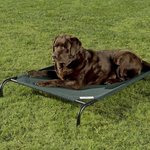 Best Beds for Rottweilers