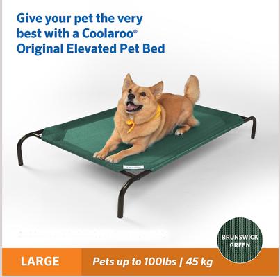 Show full view: Coolaroo Steel-Framed Elevated Dog Bed, Brunswick Green, Large slide 6 of 11
