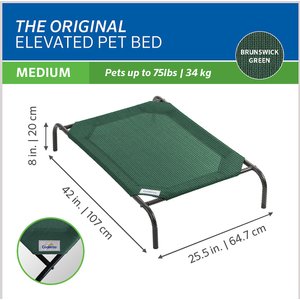 Coolaroo Steel-Framed Elevated Dog Bed, Brunswick Green, Medium