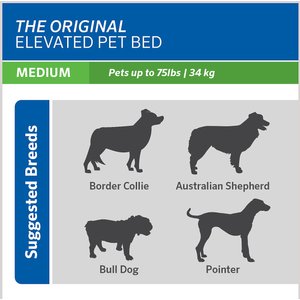 Coolaroo Steel-Framed Elevated Dog Bed, Brunswick Green, Medium
