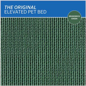 Coolaroo Steel-Framed Elevated Dog Bed, Brunswick Green, Medium