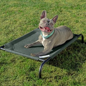 Coolaroo Steel-Framed Elevated Dog Bed, Brunswick Green, Small