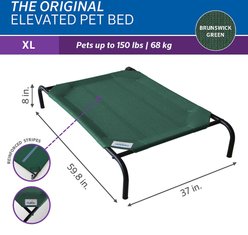 Coolaroo Steel-Framed Elevated Dog Bed, Brunswick Green, X-Large slide 2 of 8